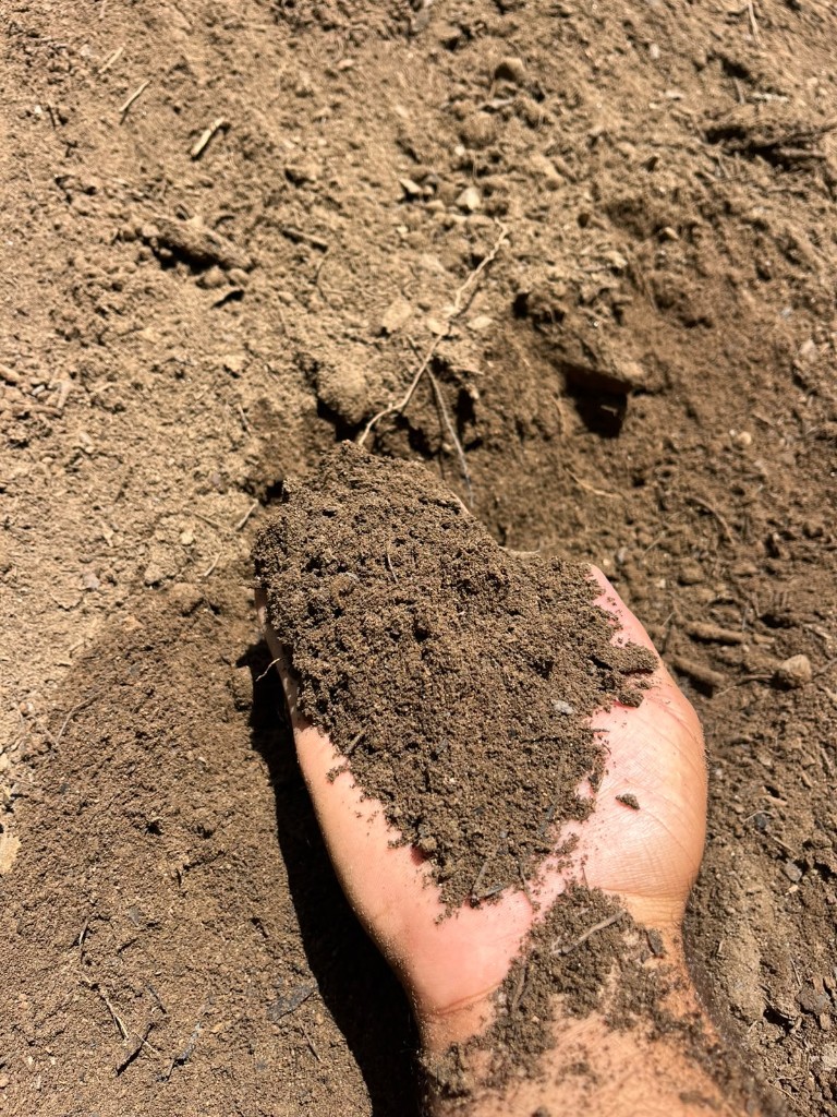 Elde tutulan ince elenmiş bahçe toprağı